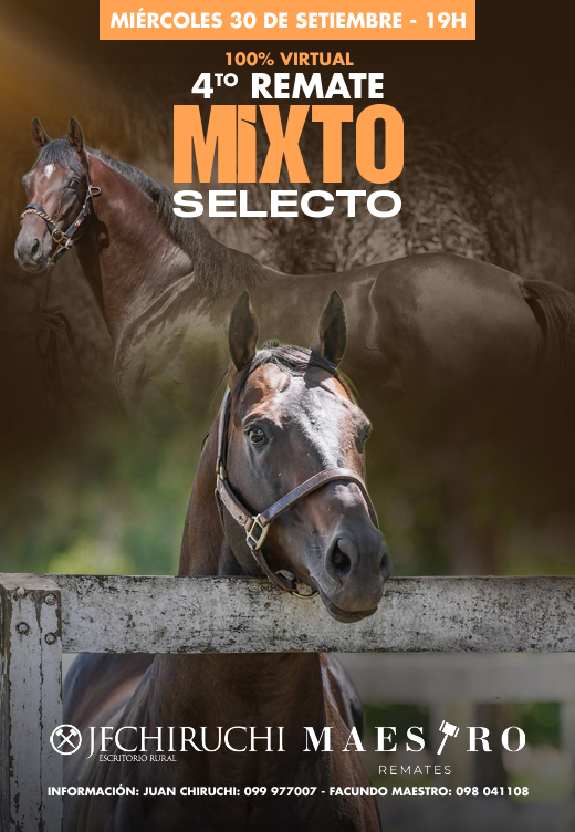 Remate 4to Remate Mixto