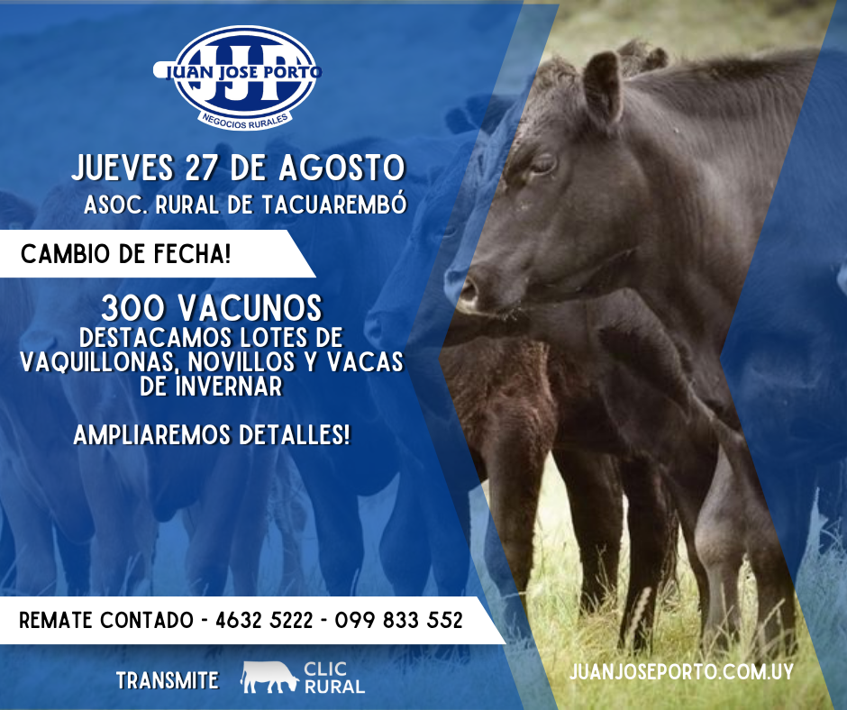 Feria mensual - Juan Jose Porto