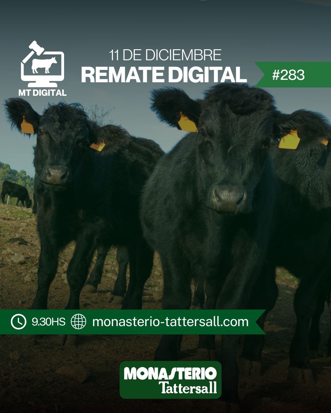 Remate Remate digital 284°