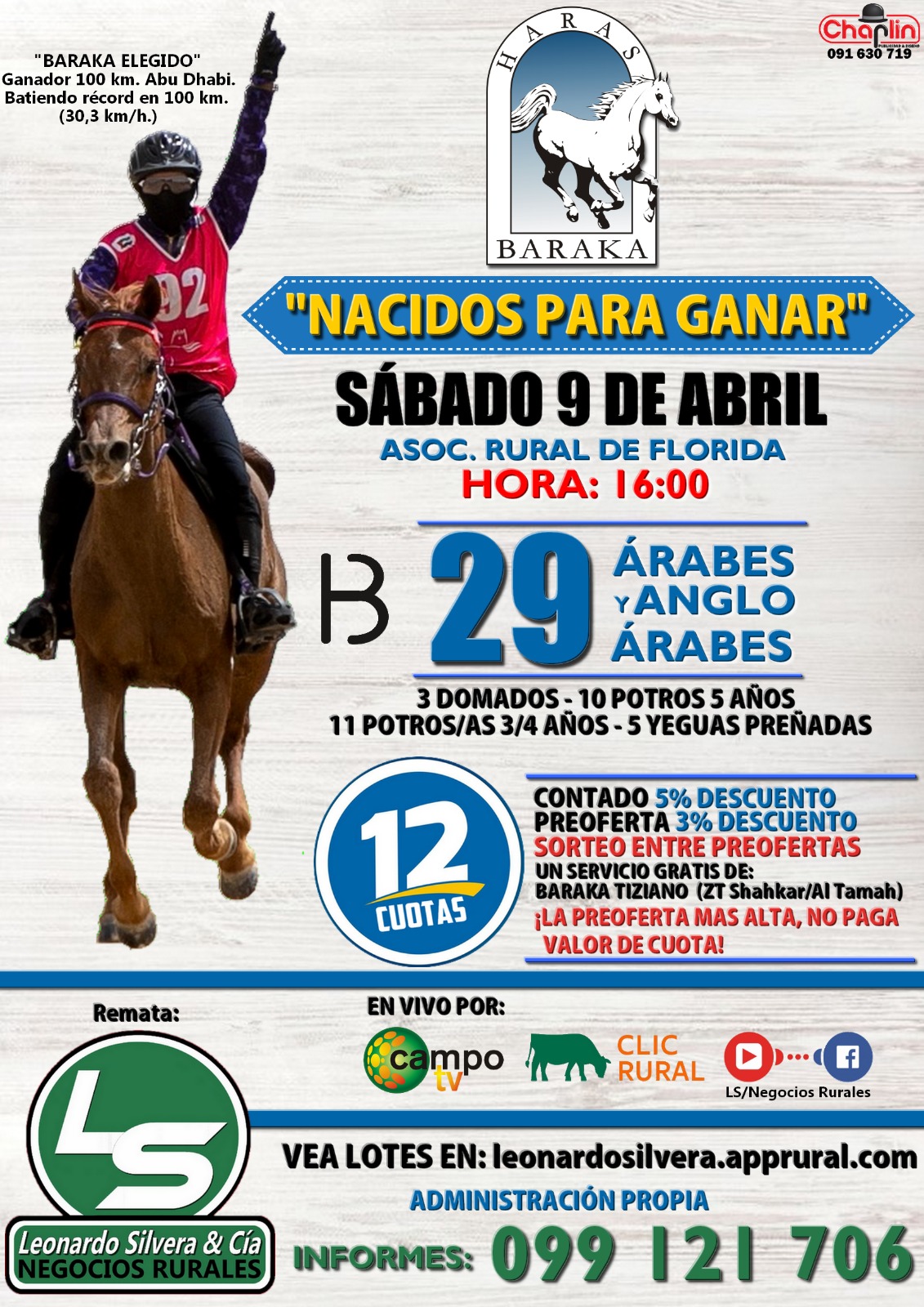 Afiche Haras Baraka