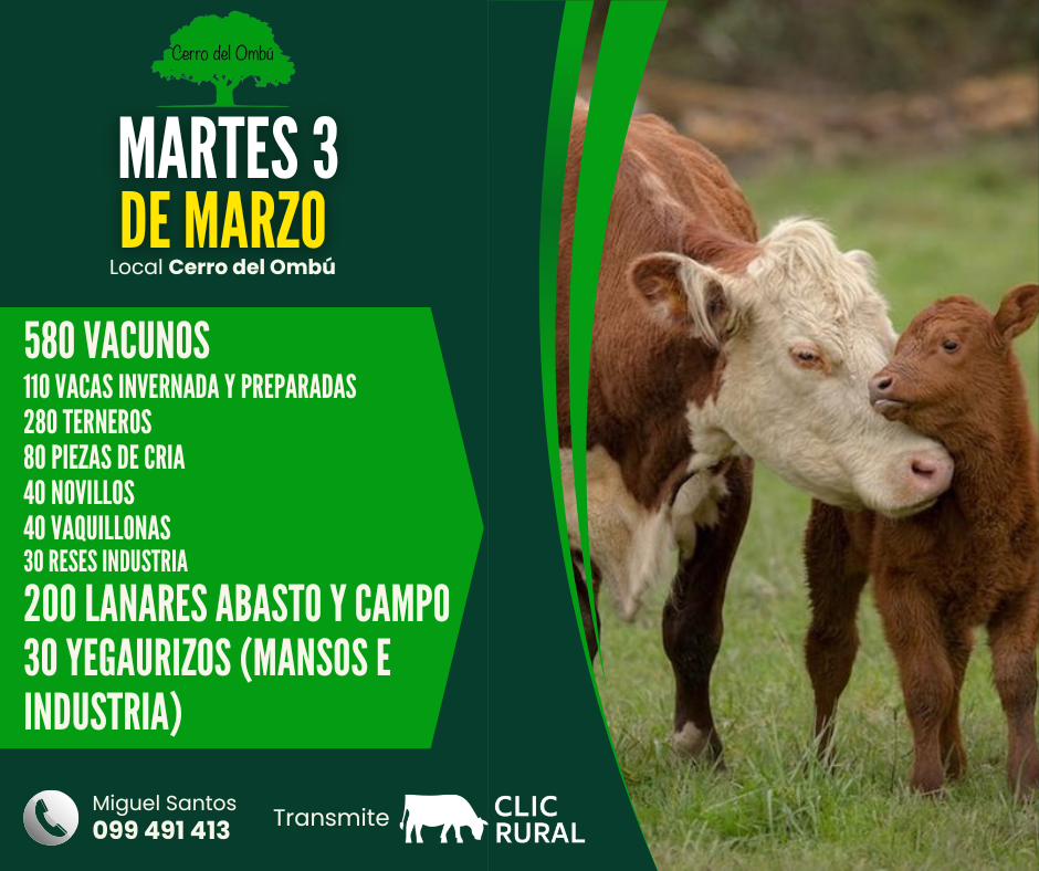 Feria Mensual - Cerro del Ombu