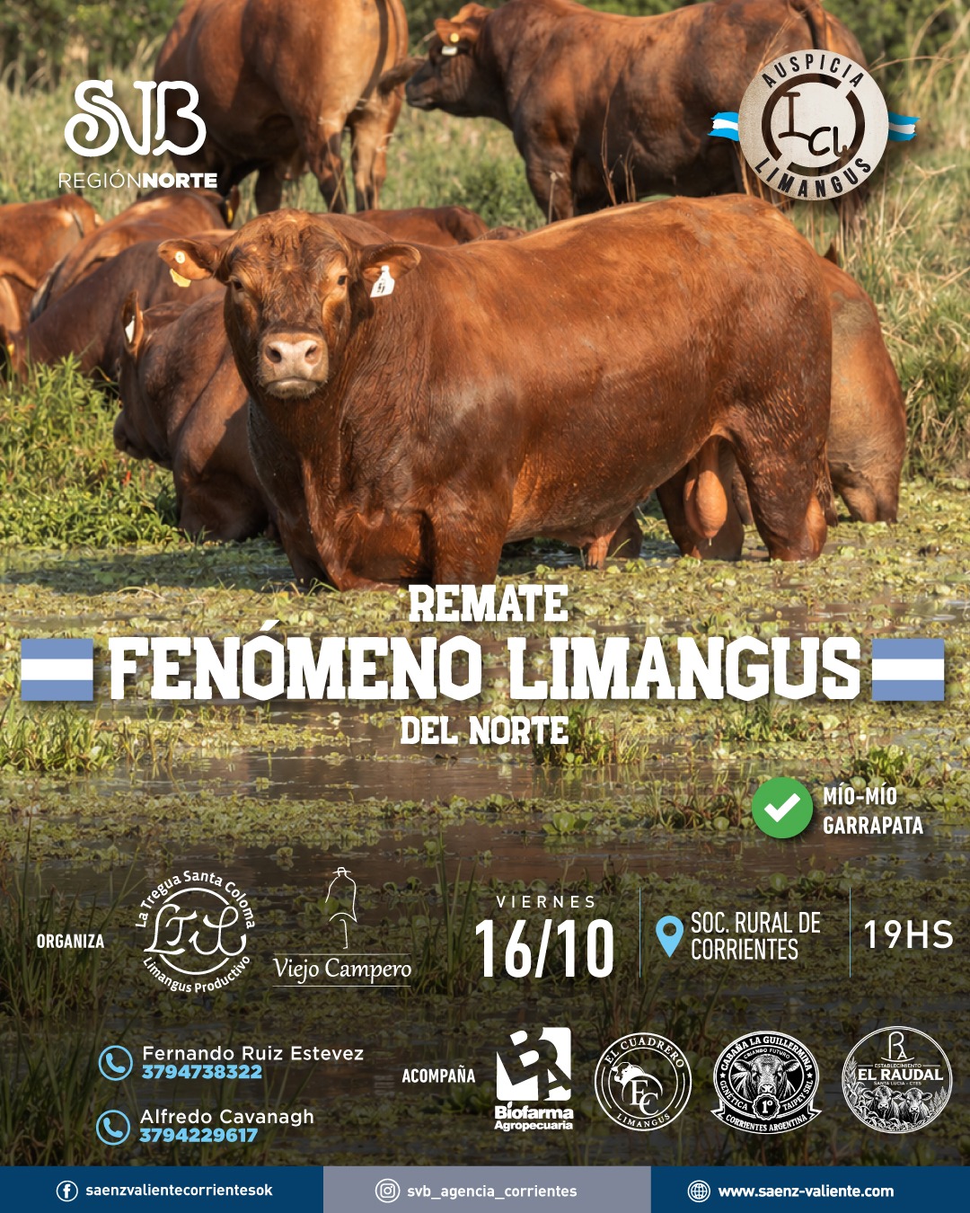 Afiche Fenómeno Limangus