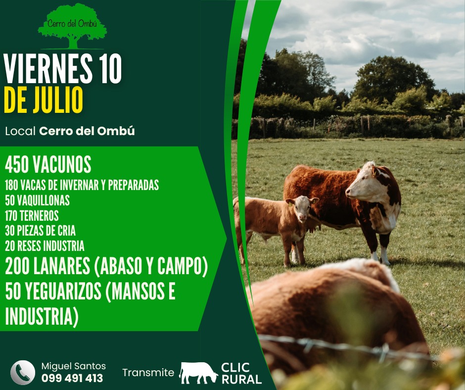 Remate Feria mensual - Cerro del Ombu
