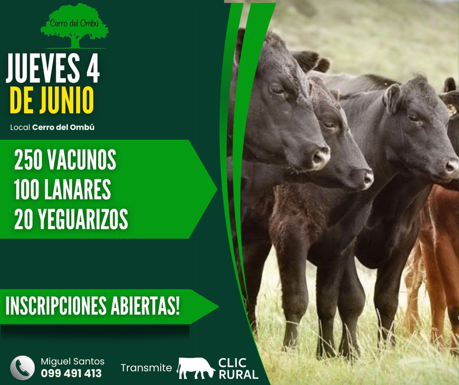 Remate Feria mensual - Cerro del Ombu