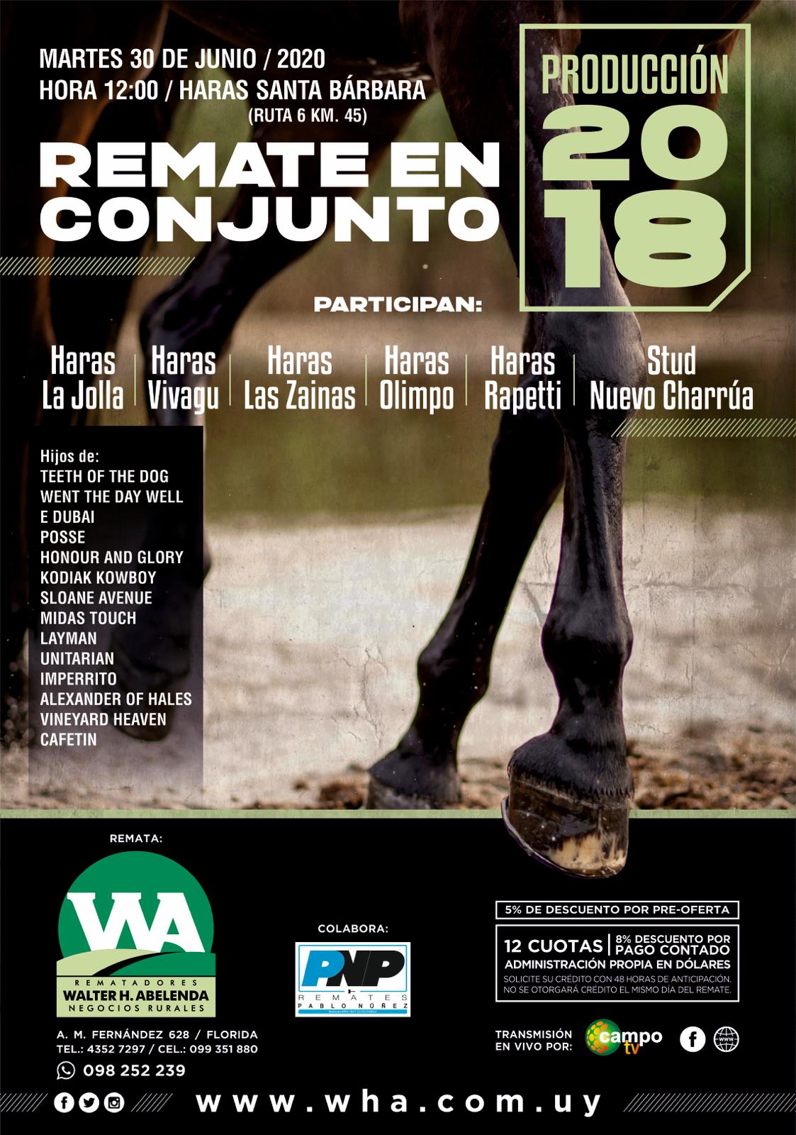 Afiche Remate en conjunto - Producción 2018