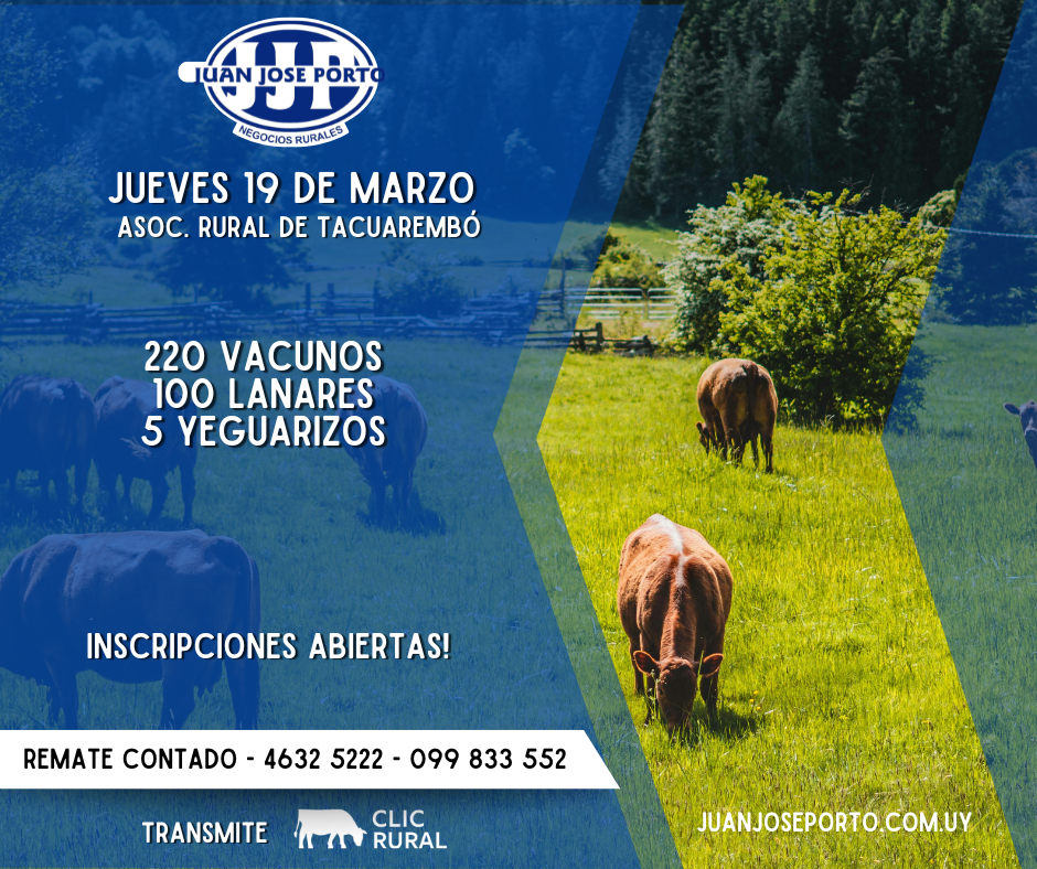 Feria Mensual - Juan Jose Porto