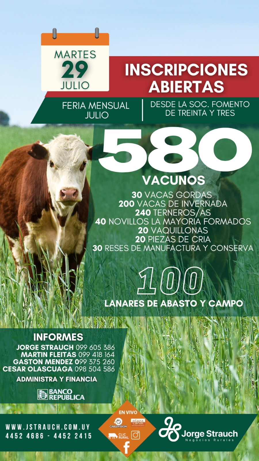 Feria Mensual - Jorge Strauch 