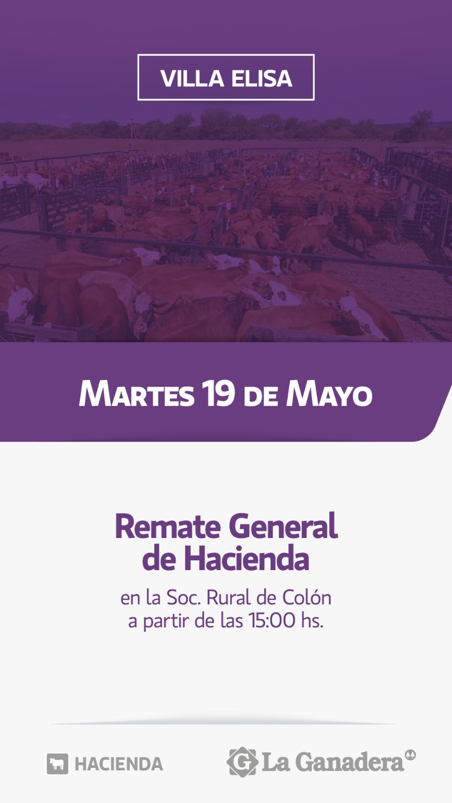 Remate REMATE FERIA EN SOCIEDAD RURAL DE COLON