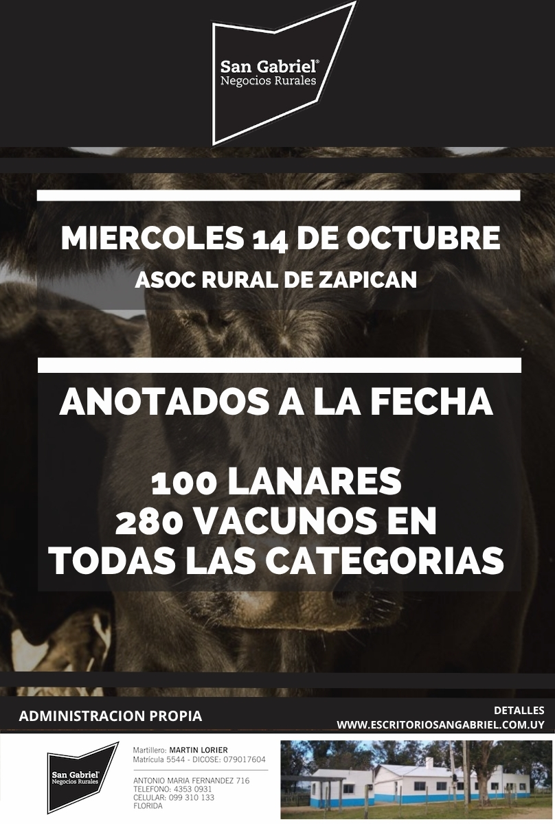Feria mensual - Asoc Rural de Zapican