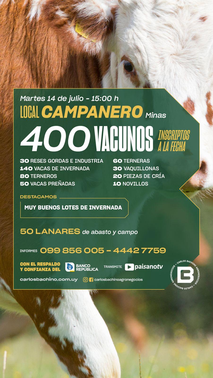 Feria Mensual - Carlos Bachino