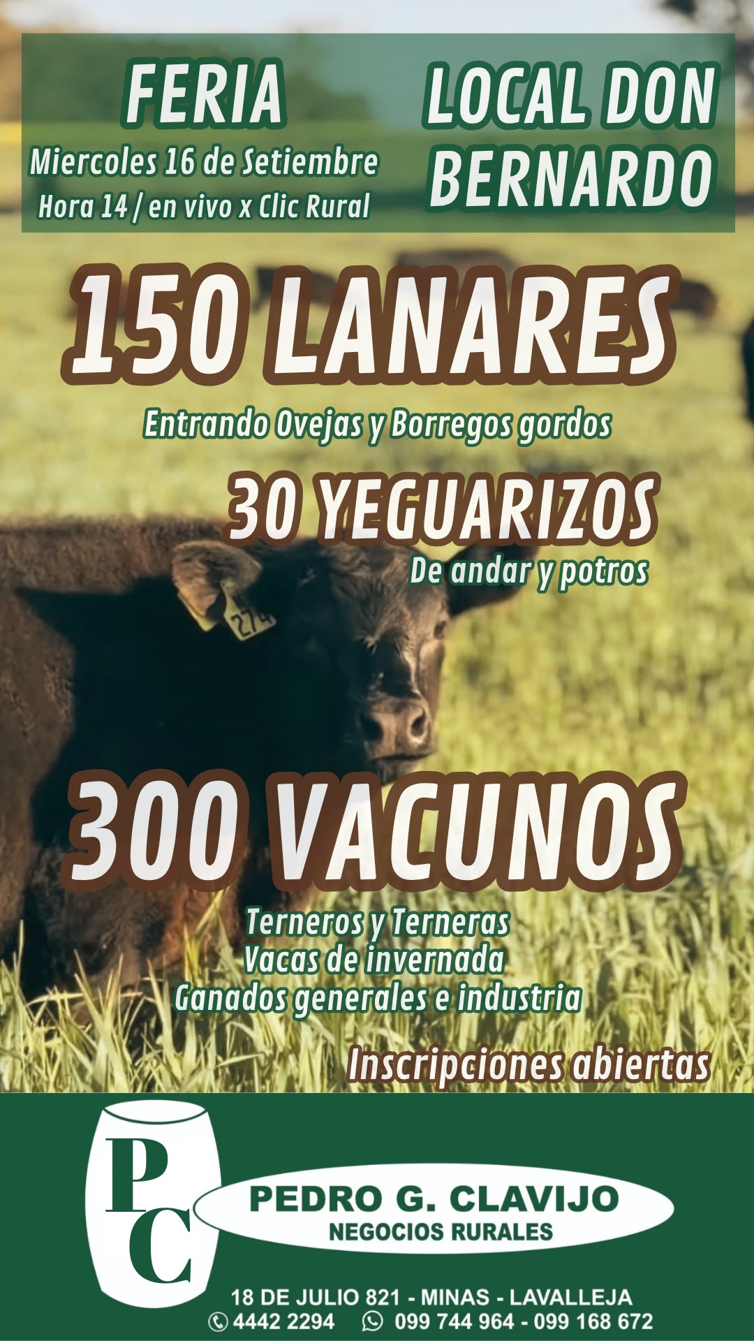 Remate Feria mensual - Local Don Bernardo