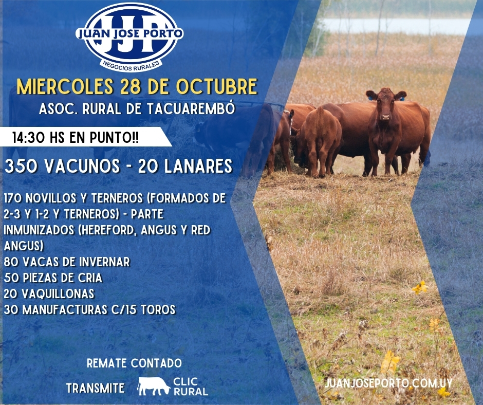 Afiche Feria mensual - Juan Jose Porto