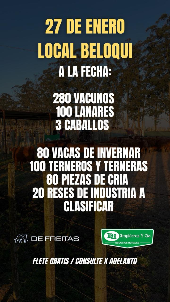 Remate Feria Mensual - Local Beloqui