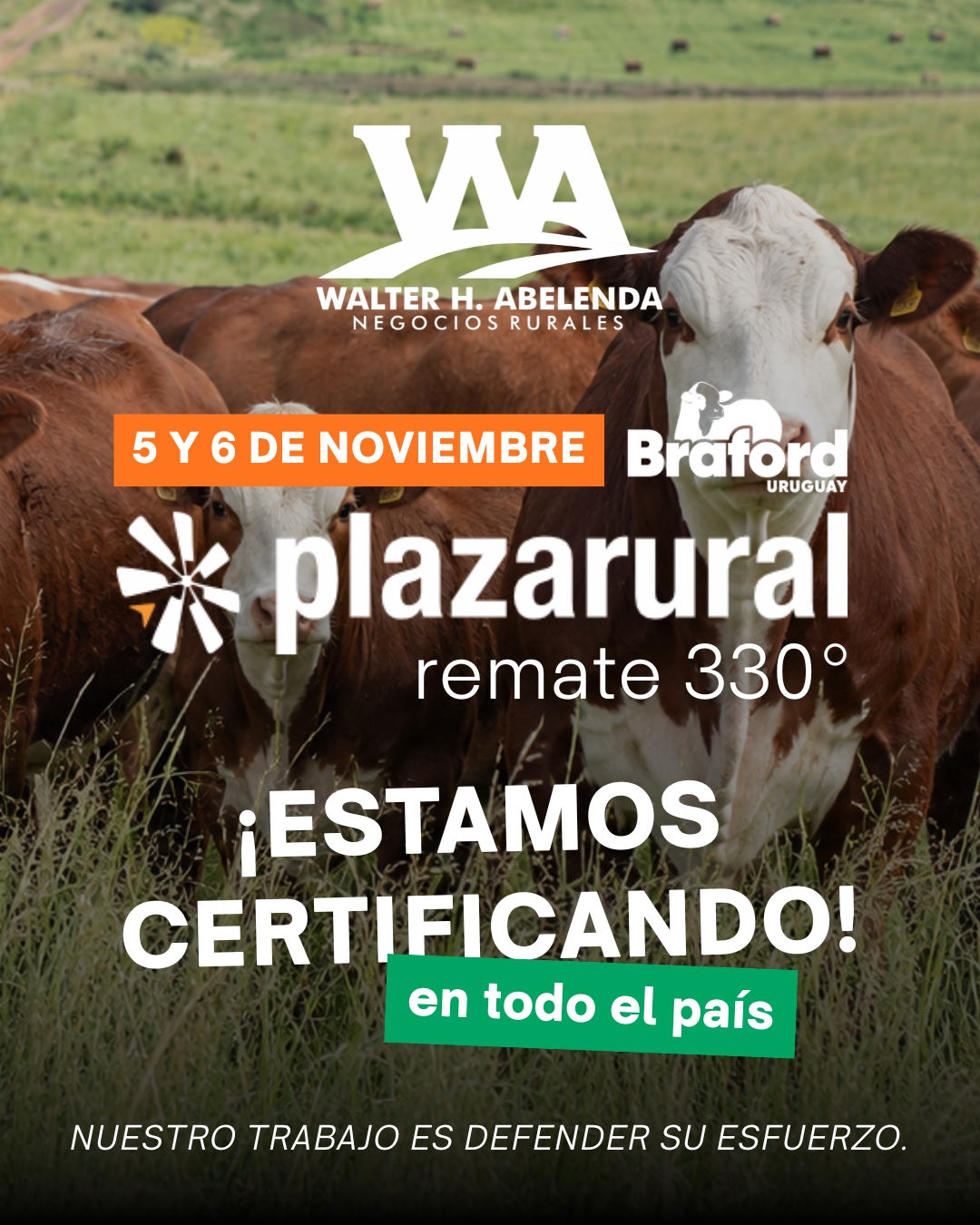 330º remate Plaza Rural