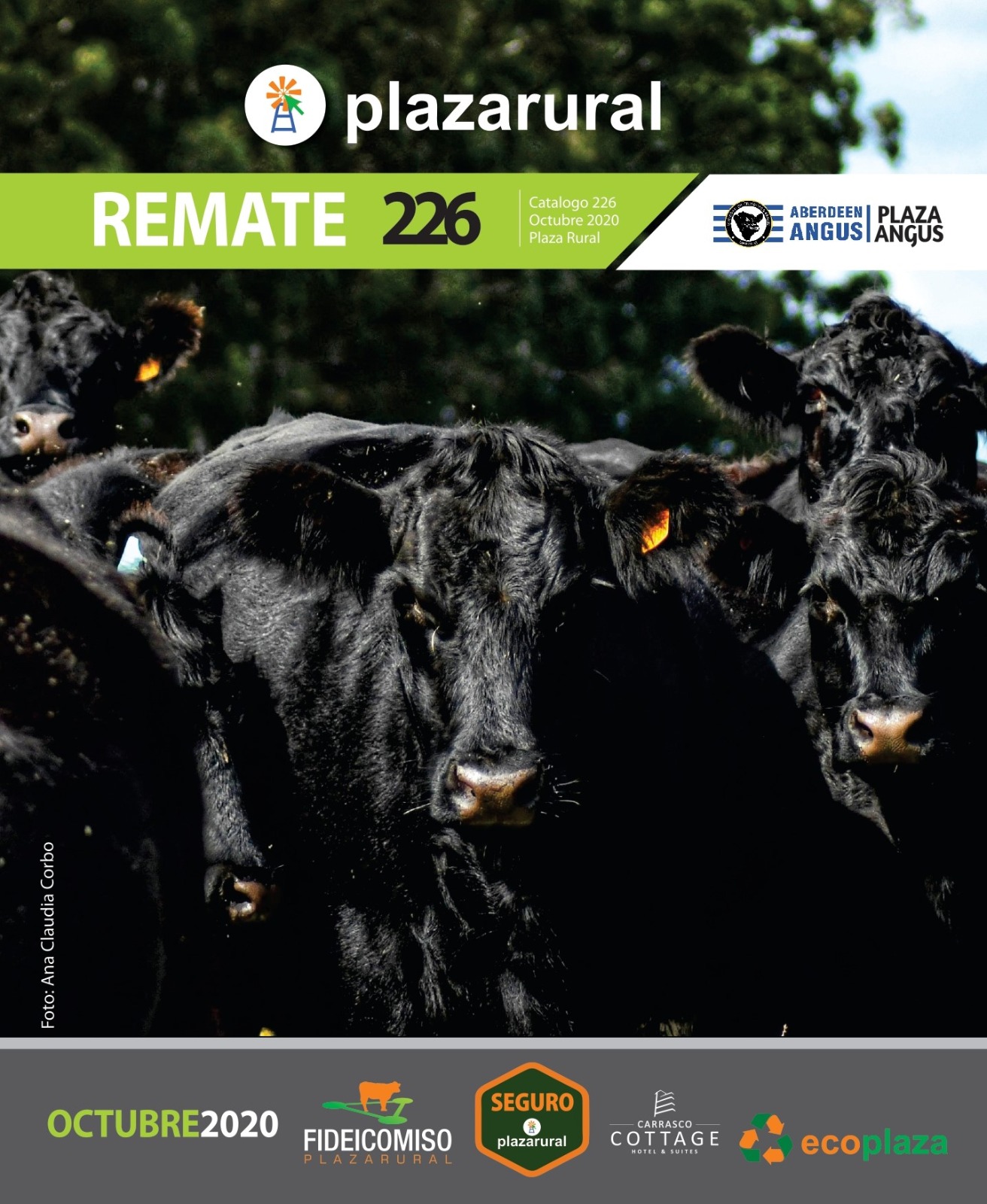 Afiche 226º Remate Plaza Rural 