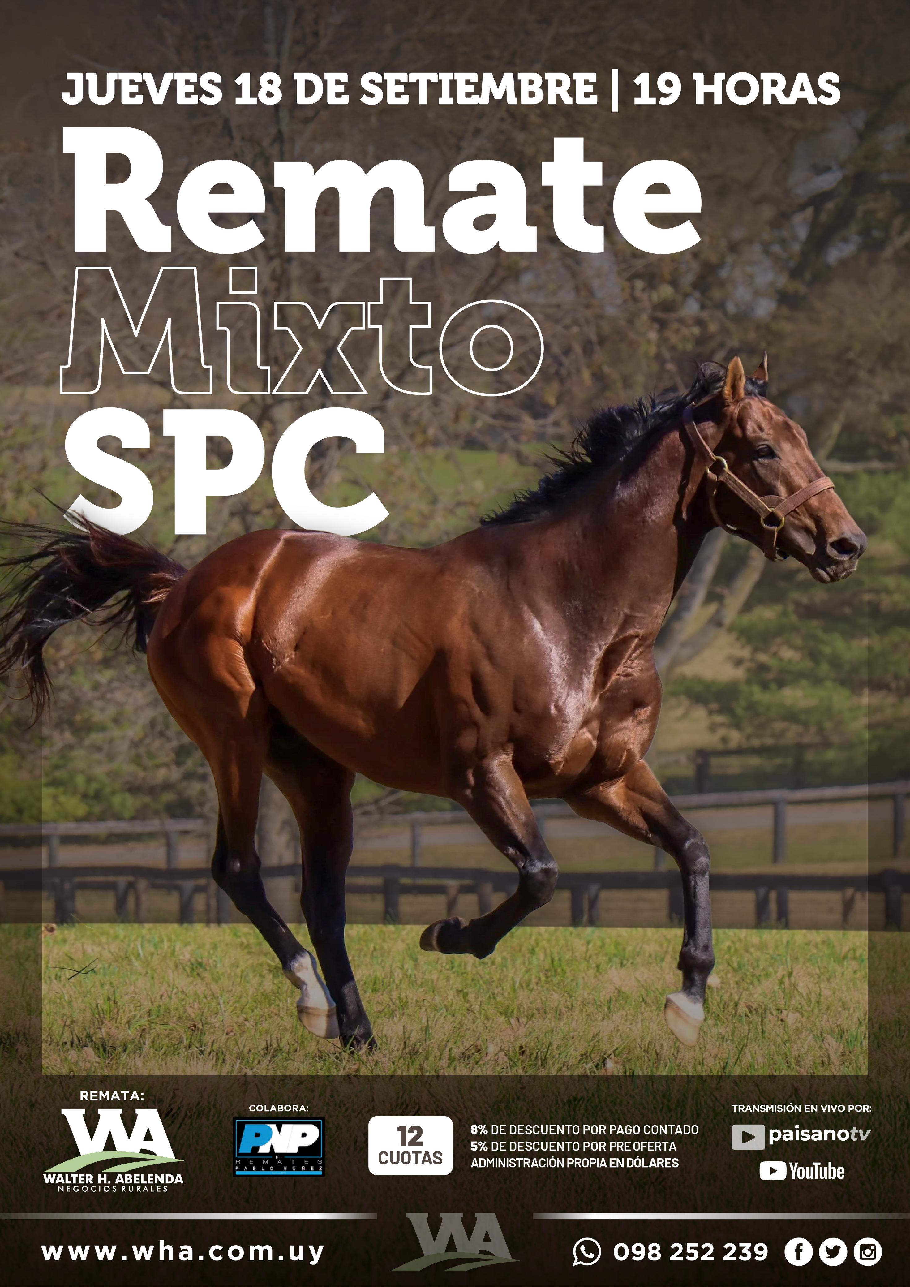 Remate Mixto SPC