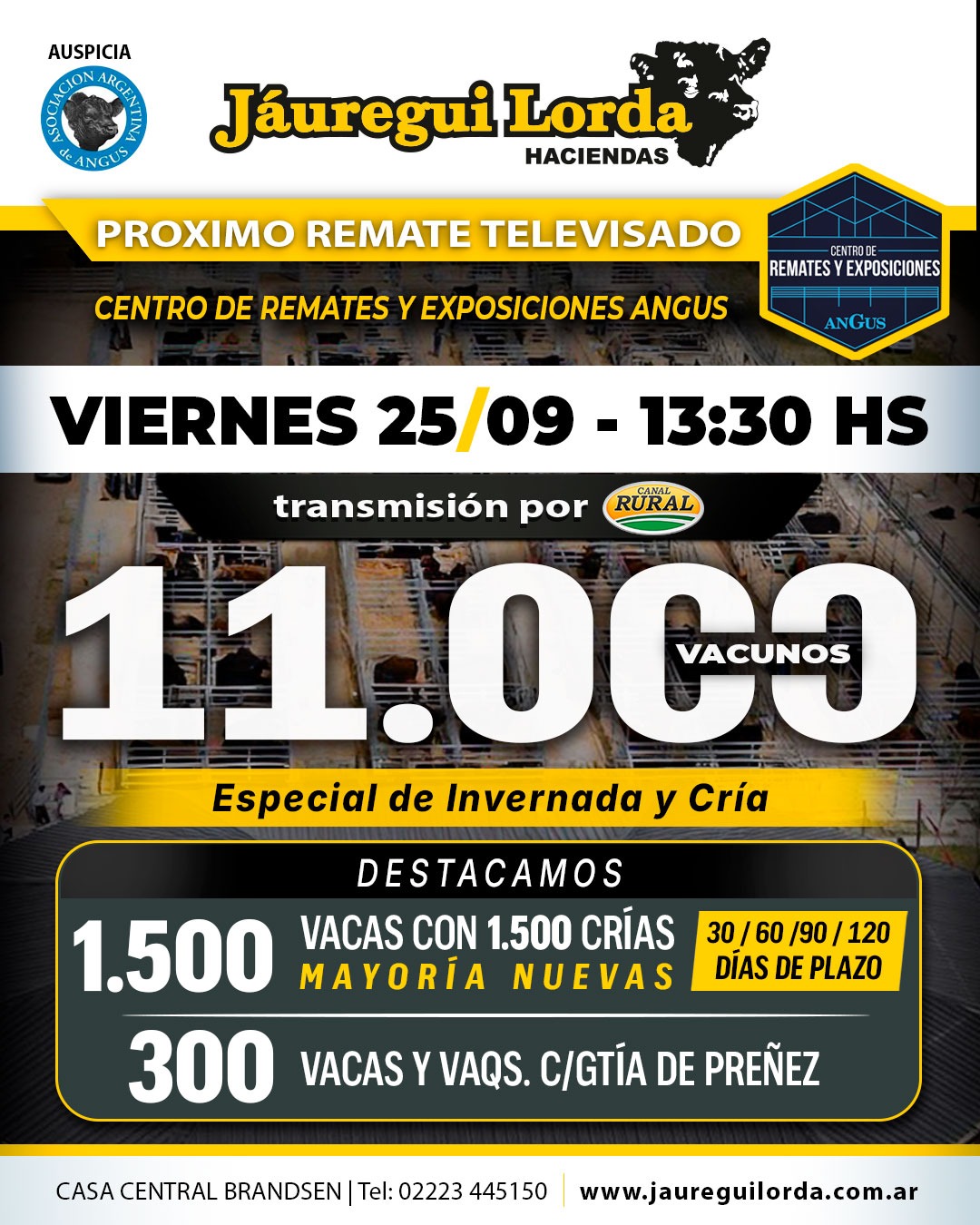 Remate televisado