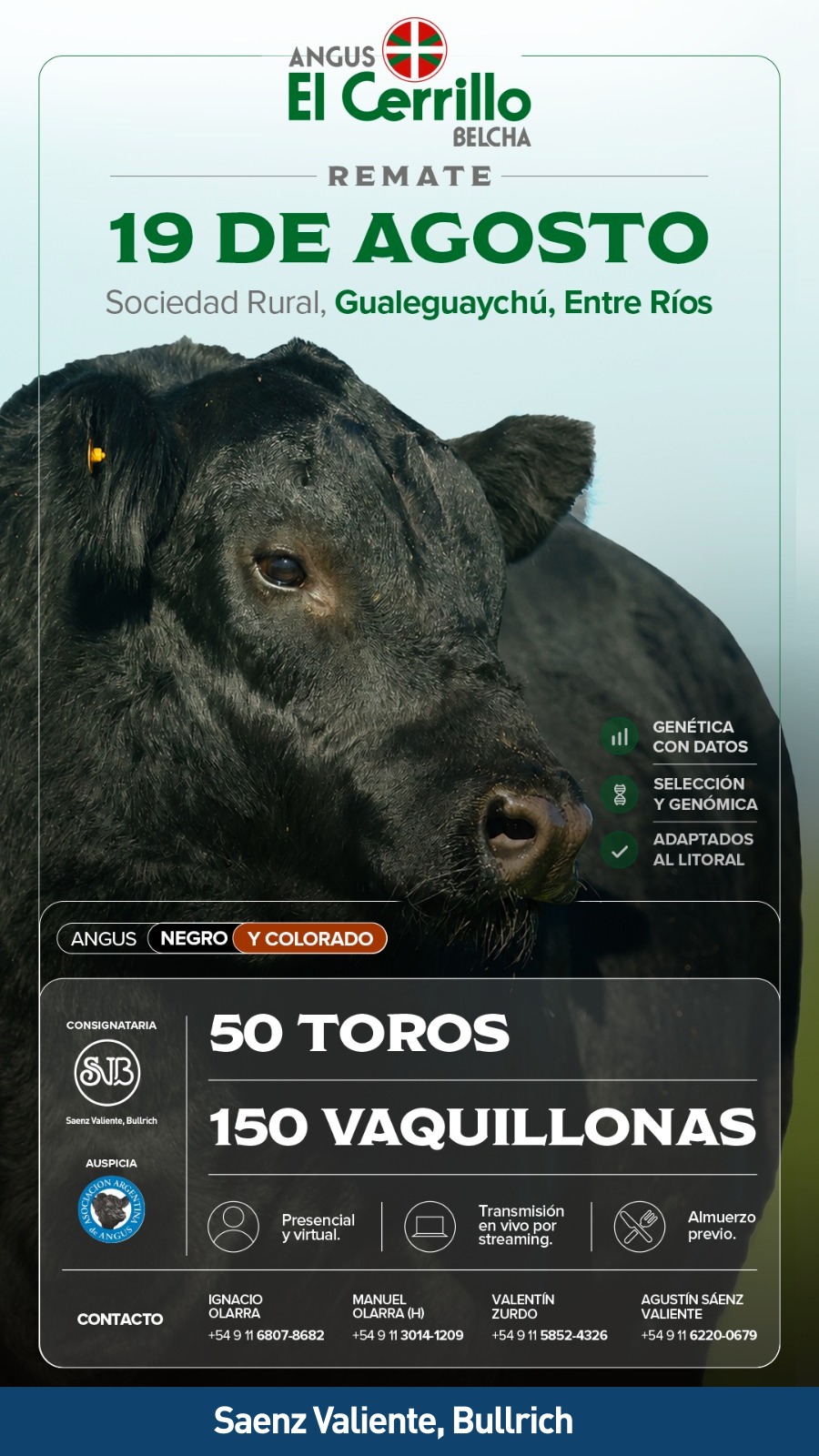 Afiche El Cerrillo