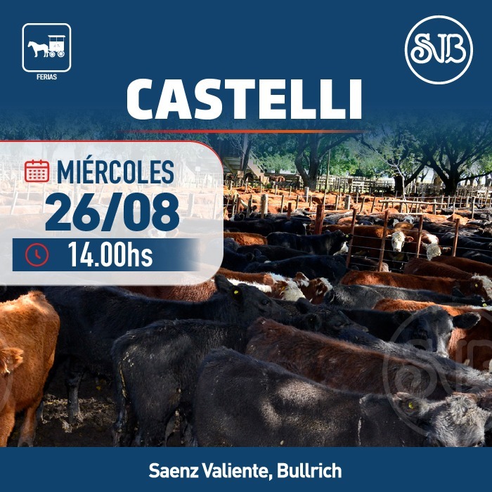 Afiche Feria en Castelli