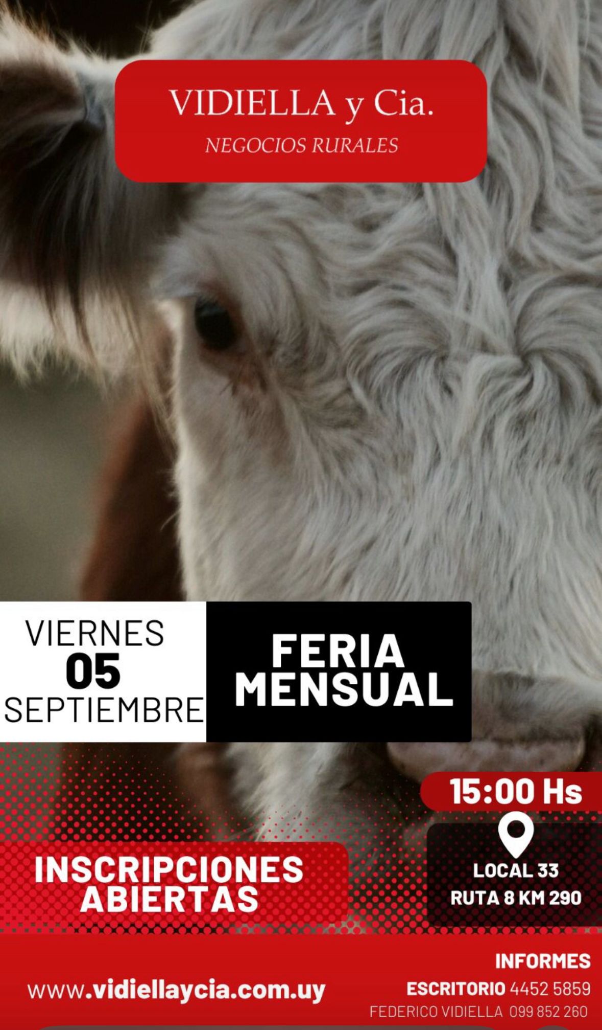 Feria Mensual - Vidiella y Cia