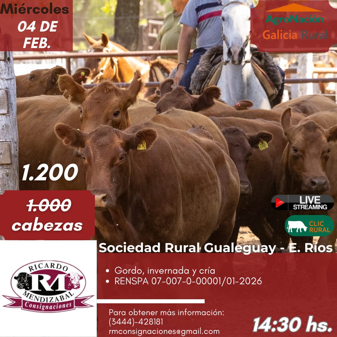 Remate 04 de Febrero - Gualeguay