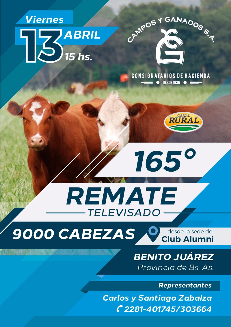 Afiche