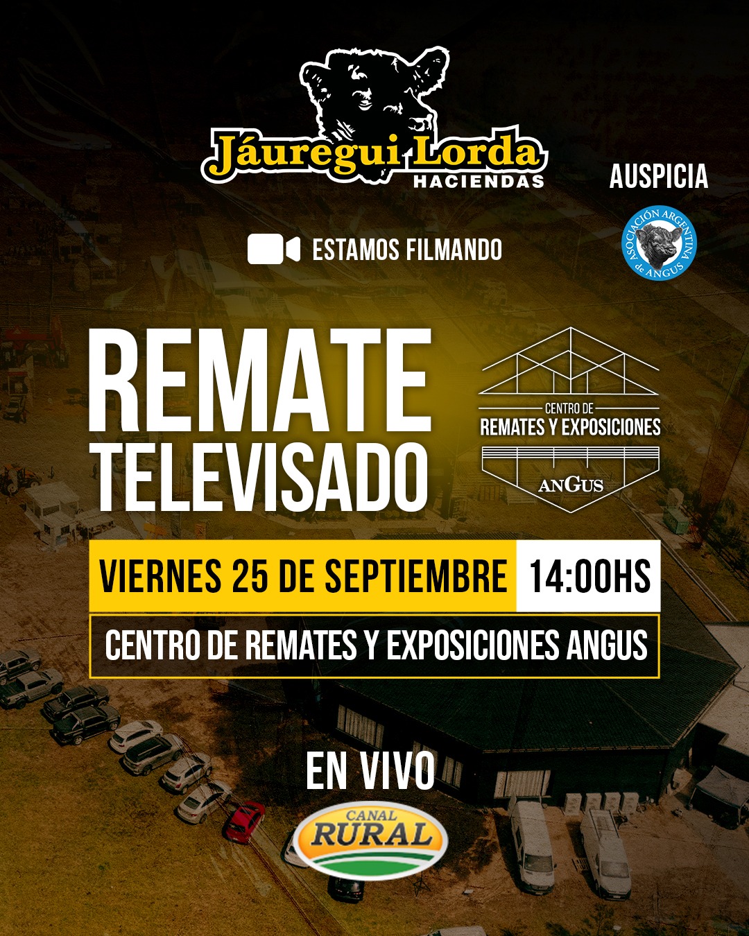 Afiche Remate televisado