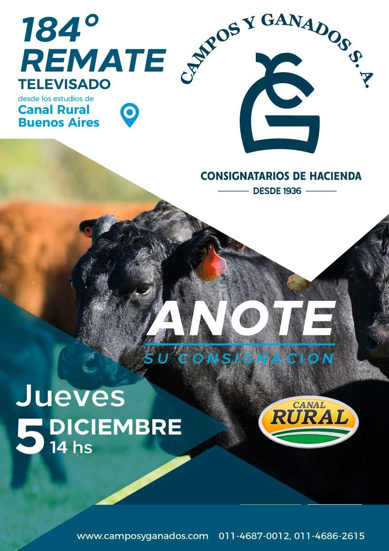 Afiche 184° Remate por pantalla