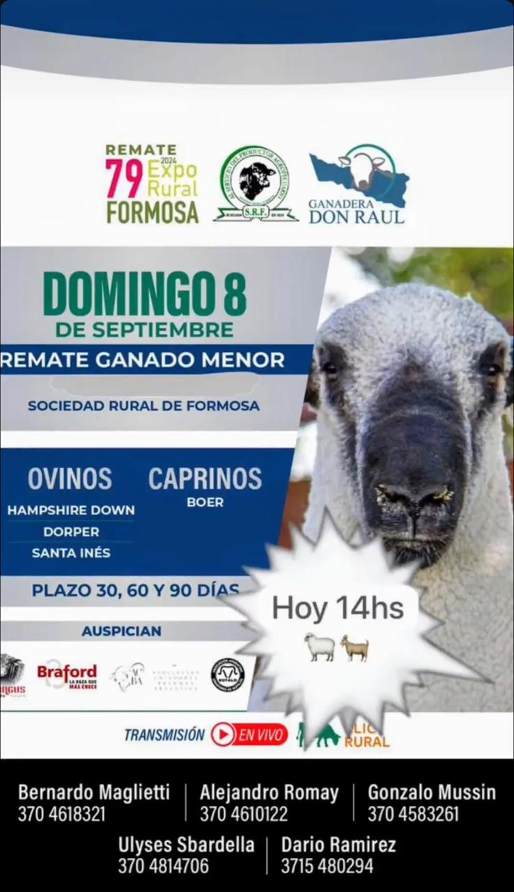 Afiche Remate Ganado Menor