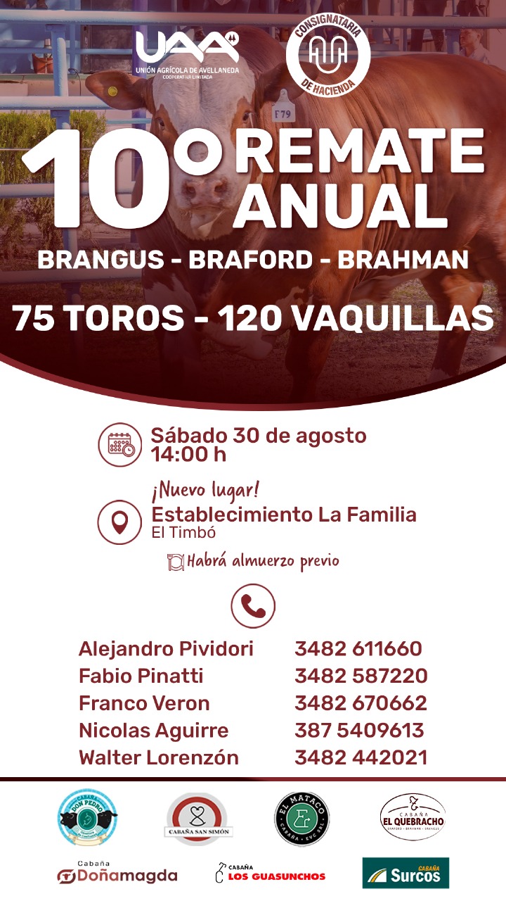 Remate 10 Remate Anual