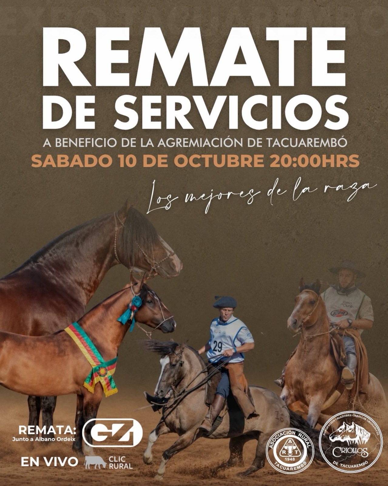 Afiche Remate de Servicios a Beneficio