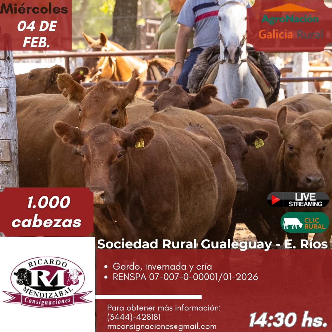 Remate 04 de Febrero - Gualeguay