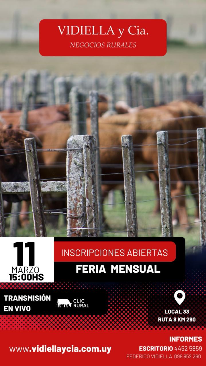 Feria Mensual - Vidiella y Cia
