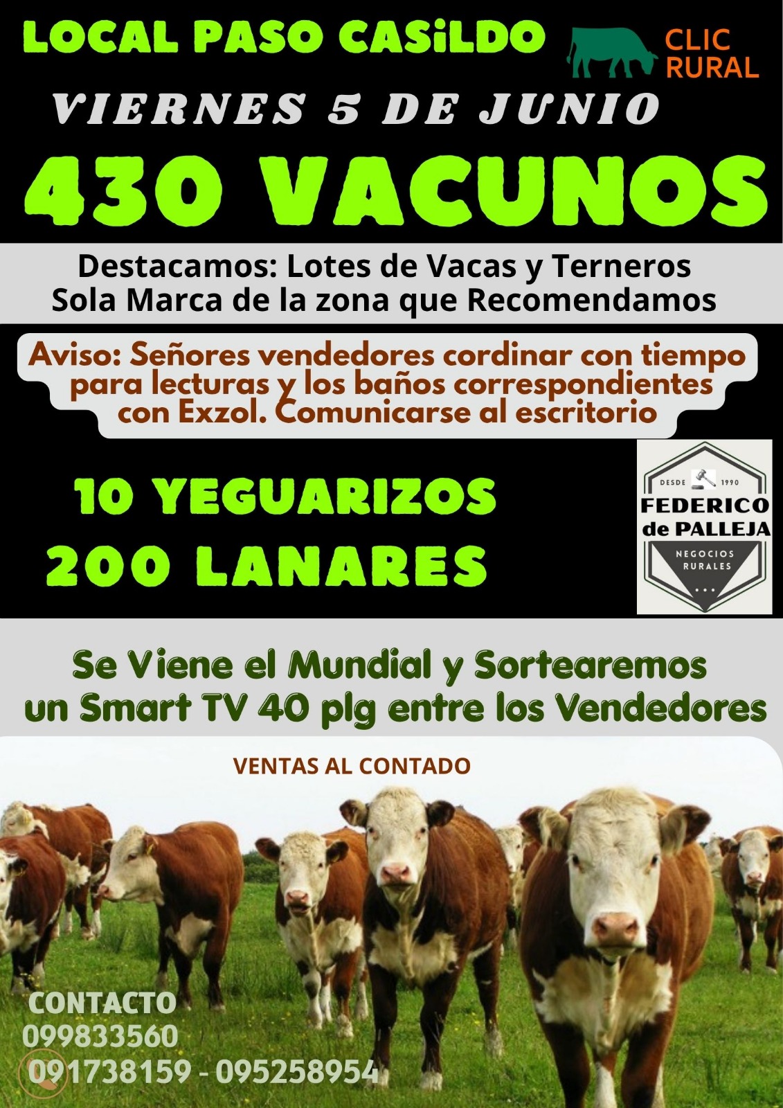 Remate Feria Mensual - Federico de Palleja