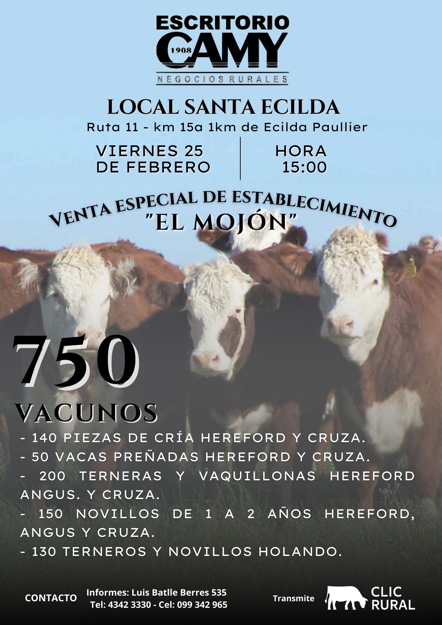 Afiche Venta Especial "El Mojón"