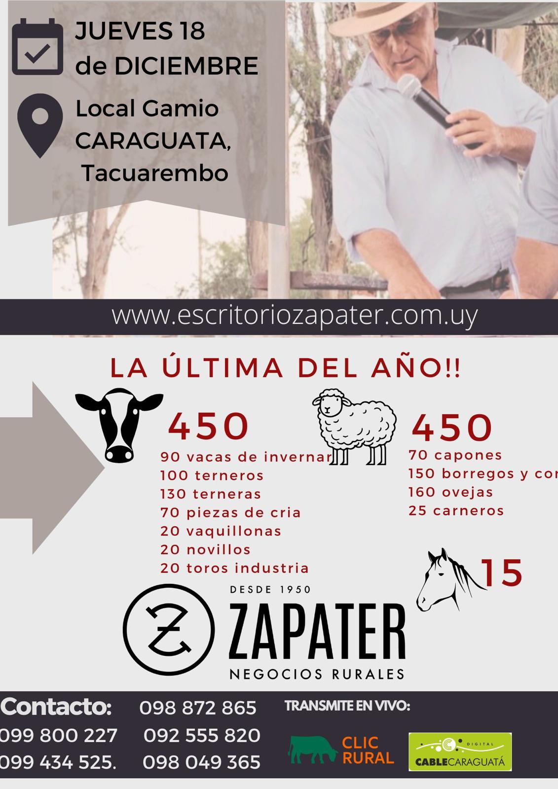 Afiche Feria Mensual - Escritorio Zapater