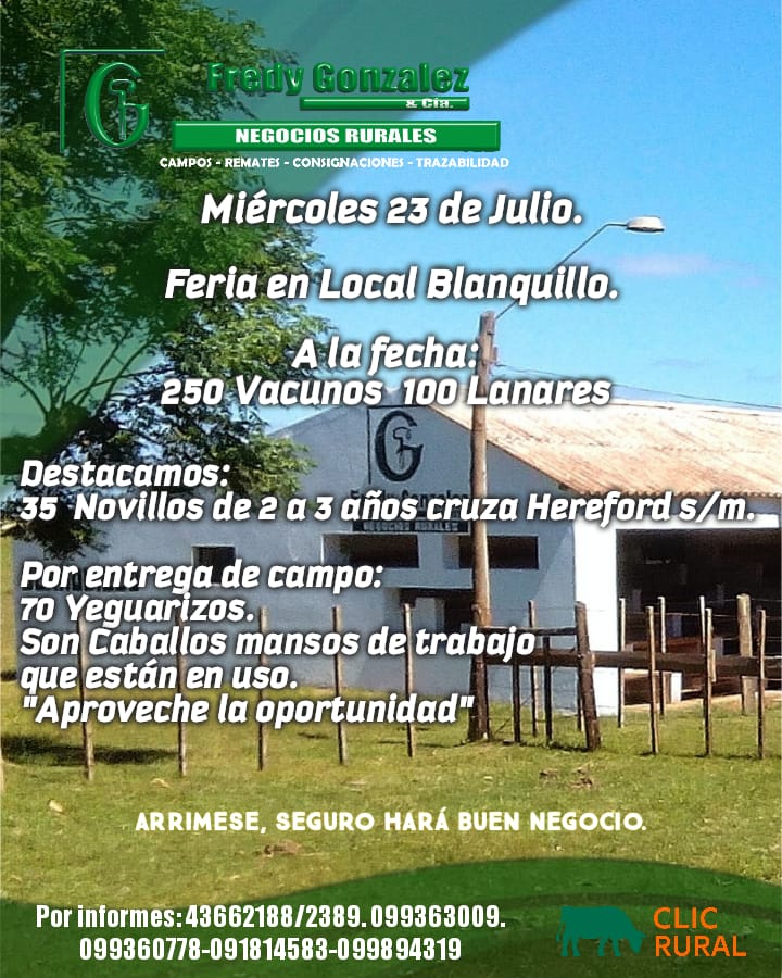 Remate Feria mensual - Fredy Gonzalez y Cia