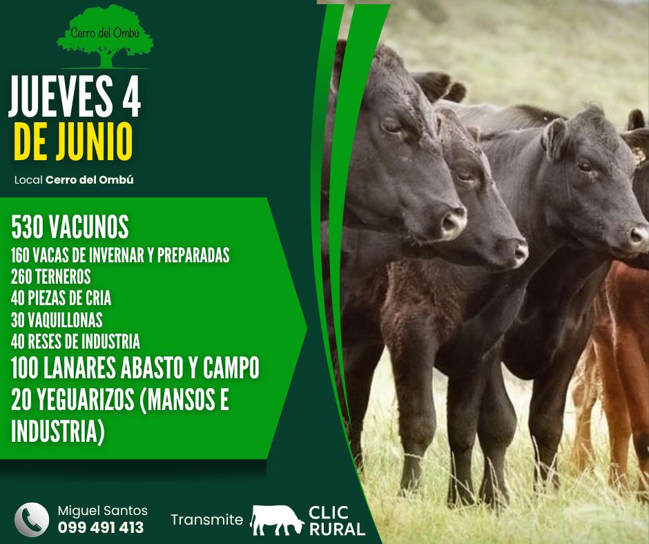 Feria mensual - Cerro del Ombu