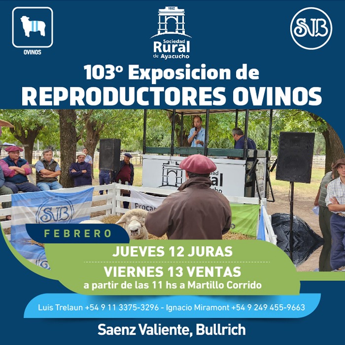 103° Exposicion de Reproductores Ovinos