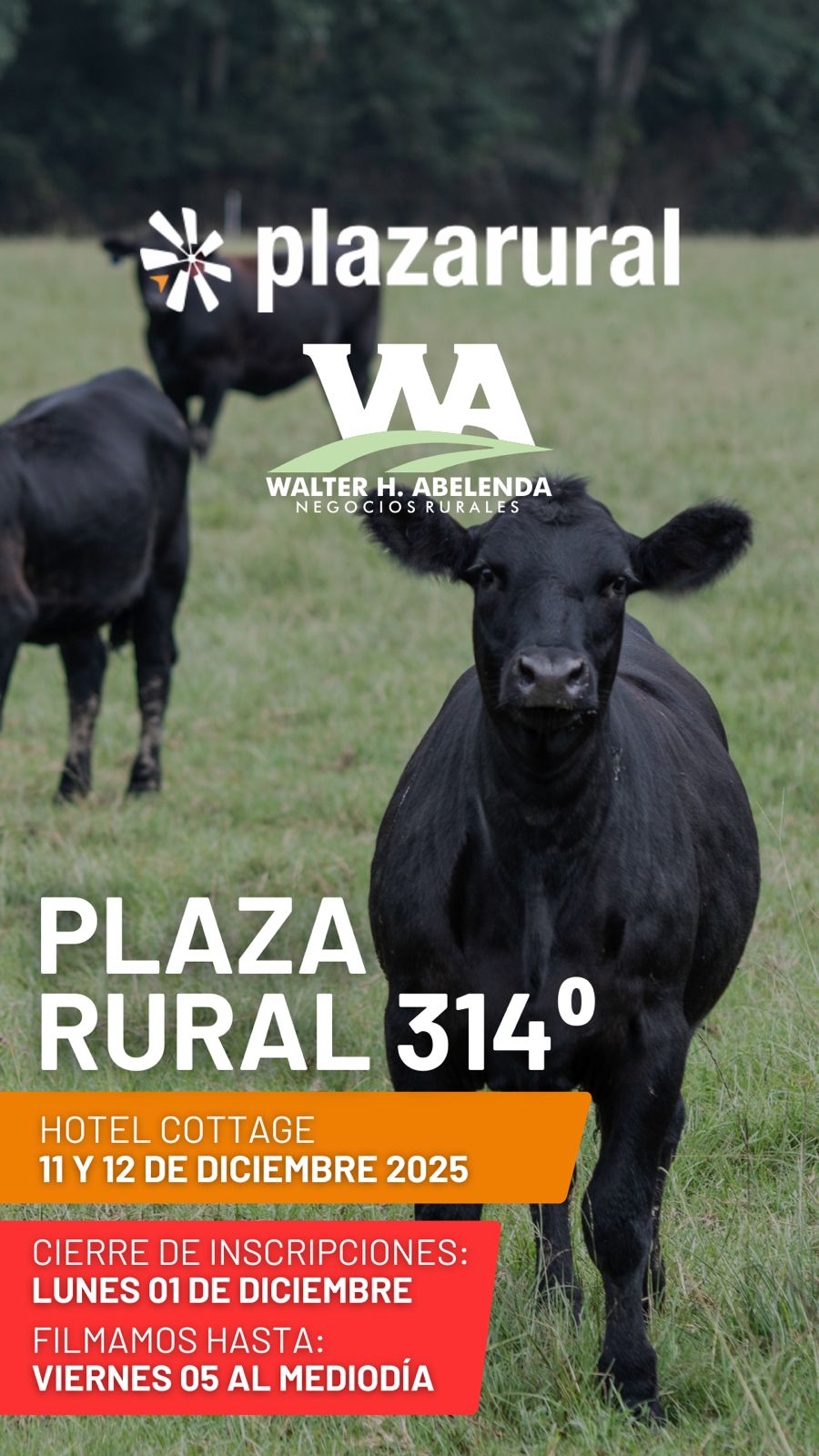 314º remate Plaza Rural