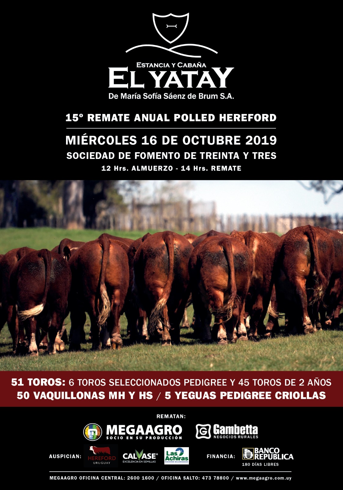 Afiche Cabaña el Yatay - Polled Hereford