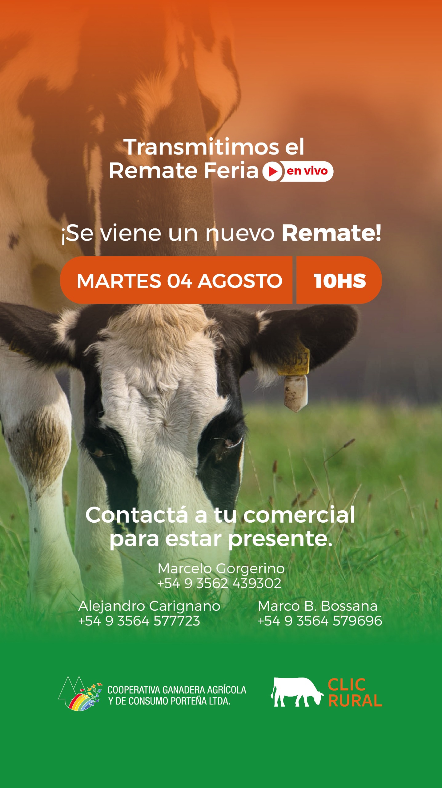 Afiche Remate haciendas generales