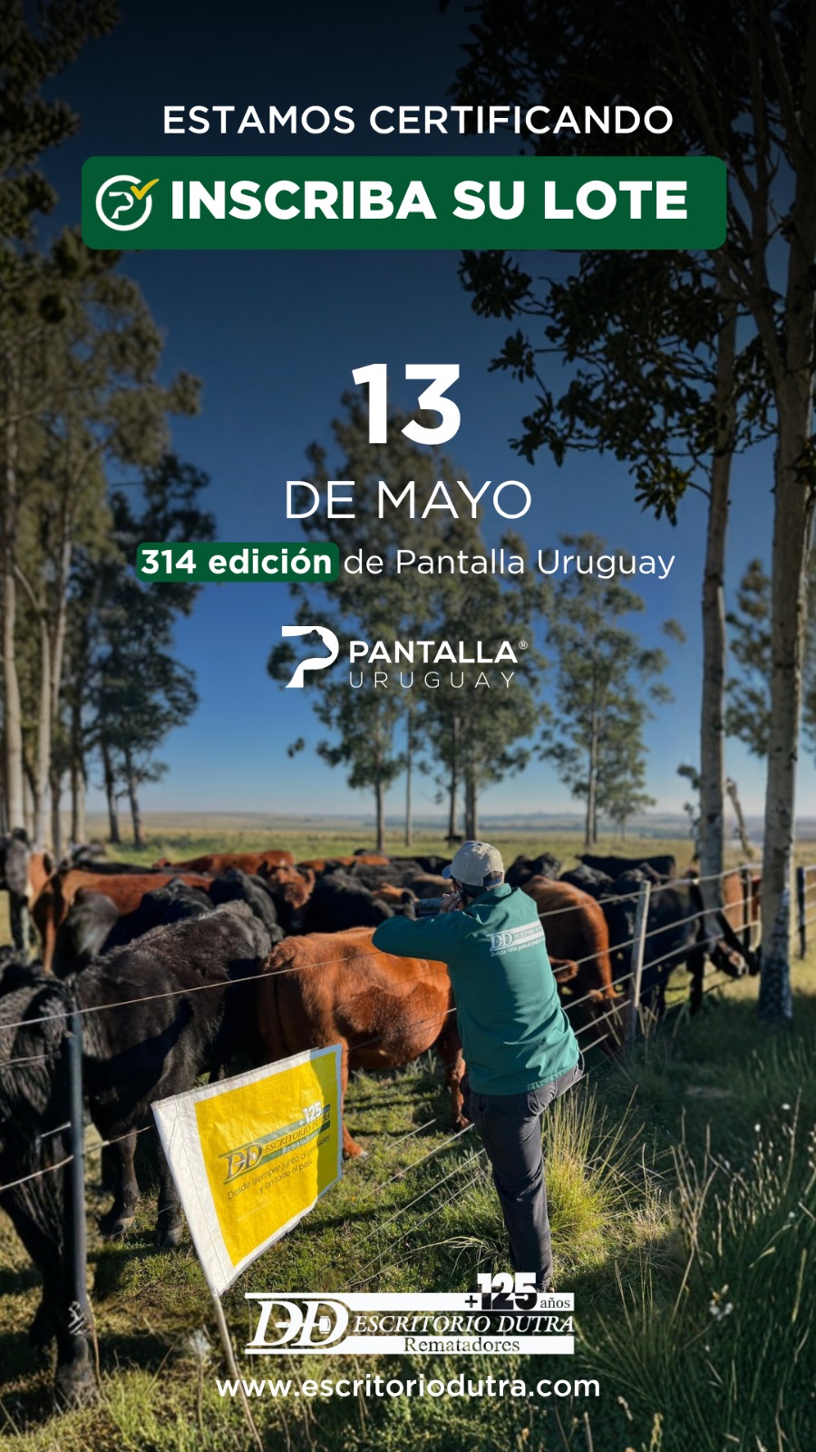 314º remate Pantalla Uruguay