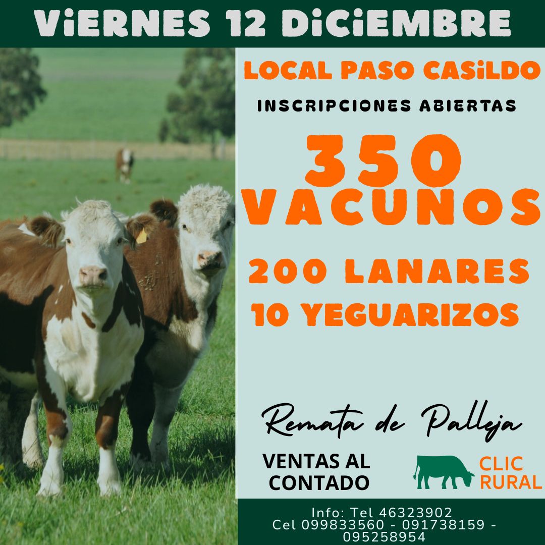 Remate 12 de Diciembre - Local Paso Casildo