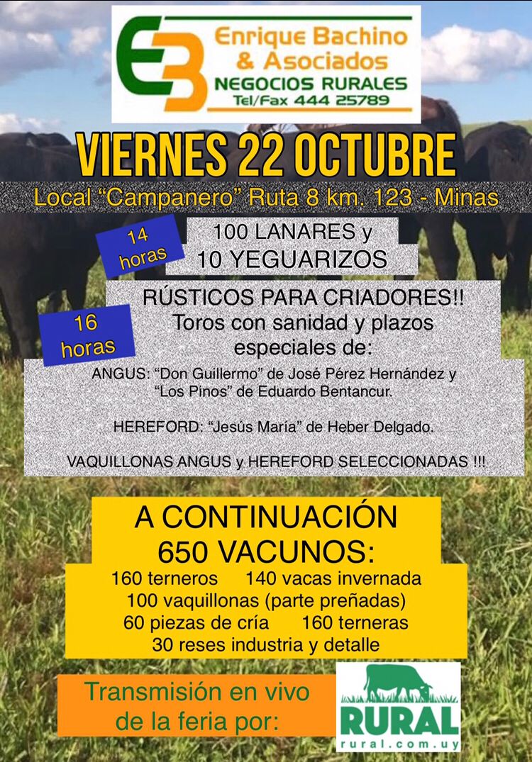 Afiche
