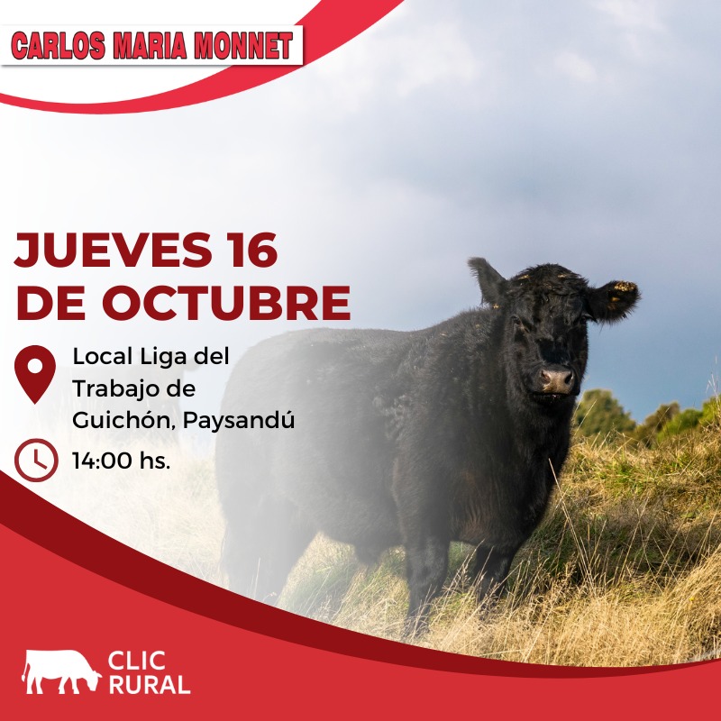 Afiche Feria en Liga de Trabajo Guichon