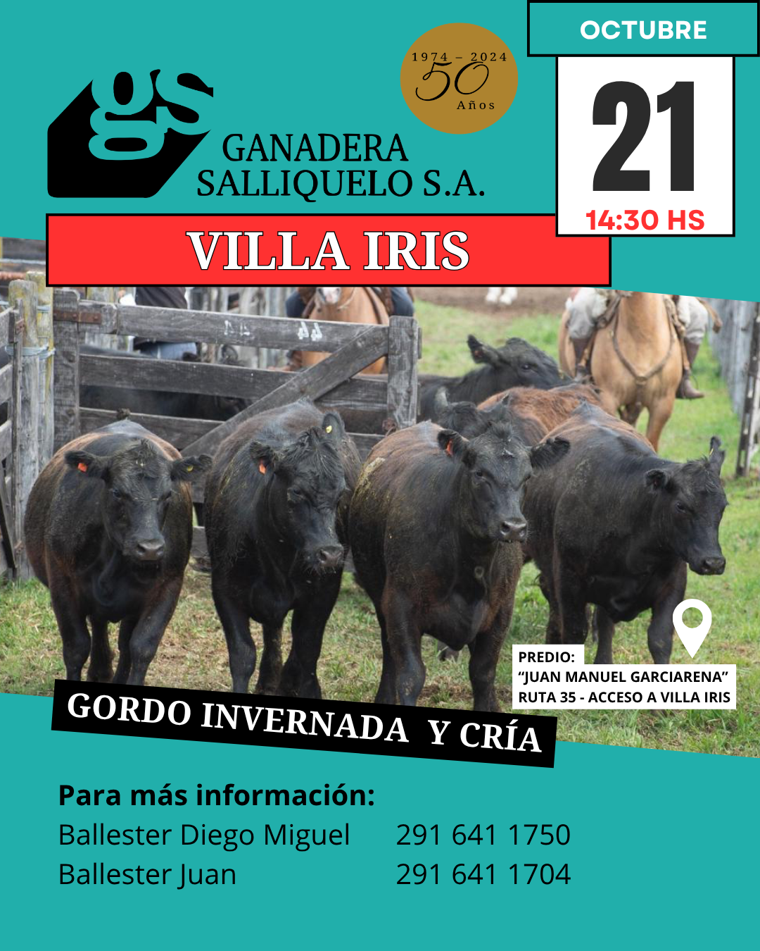 Afiche  REMATE FERIA EN VILLA IRIS