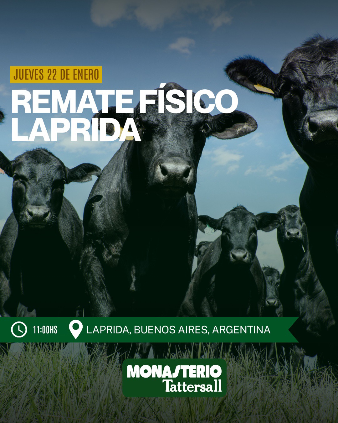 Remate Físico Laprida