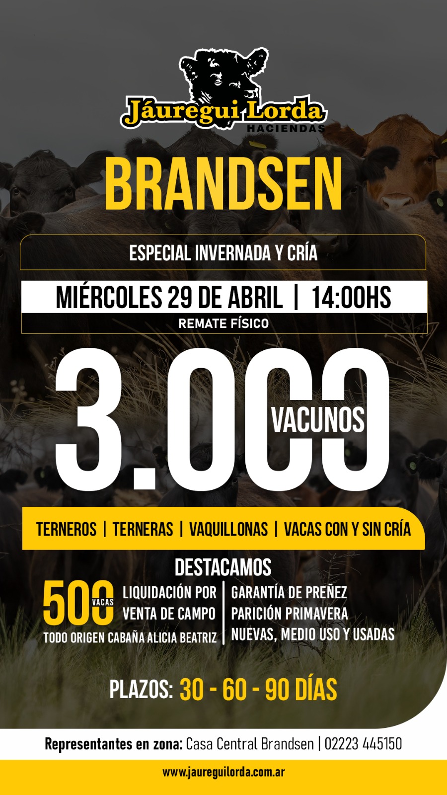 Remate 29 de Abril - Brandsen