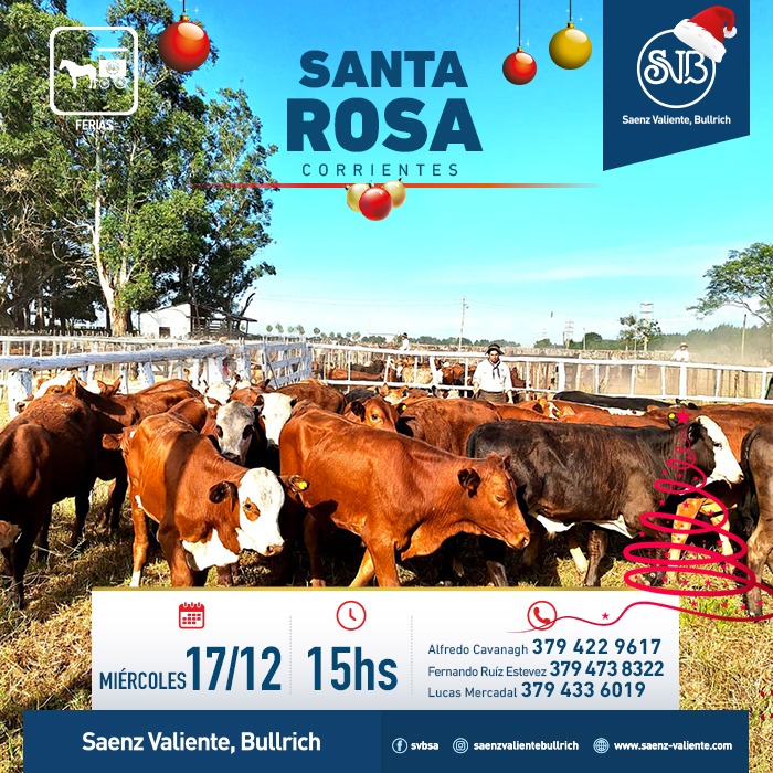Feria en Santa Rosa
